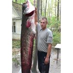 Лошманов Олег, рыба сом, 110 кг, длина, 2,365 м, р. Казанка