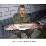 Владимир Жирнов
