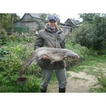 Алексей, рыба сом, 17 кг. Пойман на Волге, Зеленого Бора на спининг, 30.08.2010