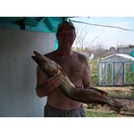 Александр Лашевский, щука 4.5кг, Свияга